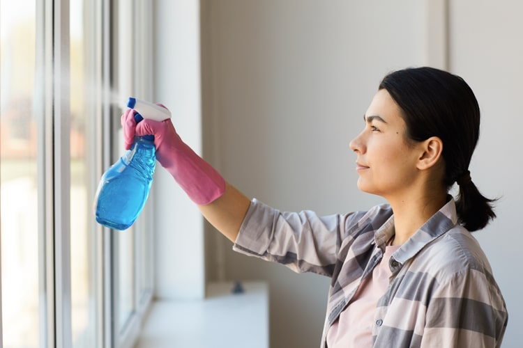 Fensterdichtungen richtig reinigen